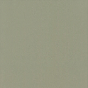 Фасад кухонный МДФ Пленка Латте 854